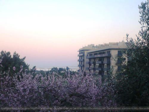 Apartaments Las Carolinas Sant Carlos de la Ràpita المظهر الخارجي الصورة